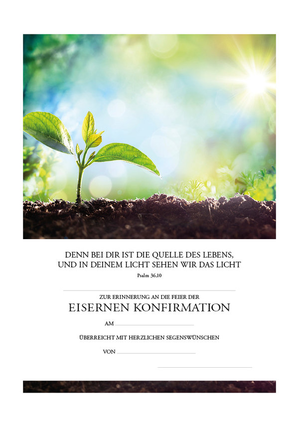 Urkunden zur Eisernen Konfirmation Nr. E/204 (VPE 10 Stück)